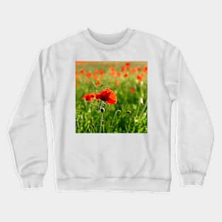 Poppies Crewneck Sweatshirt